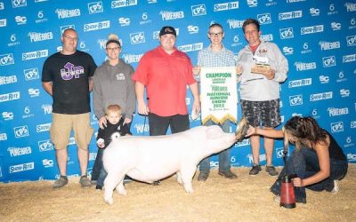 Champion Landrace Barrow – 2023 Team Purebred National Jr Show