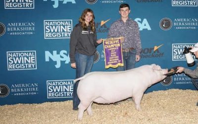 Reserve Champion Landrace Gilt – 2023 NJSA Eastern Regional