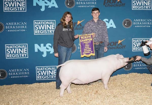 Reserve Champion Landrace Gilt – 2023 NJSA Eastern Regional
