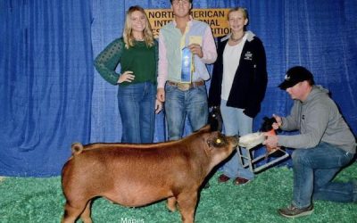 1st Place Duroc Market Hog- 2023 North American International Livestock Expo.