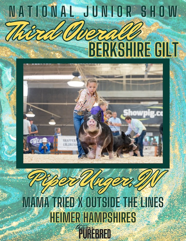 3rd Overall Berkshire Gilt – 2023 Team Purebred National Jr Show
