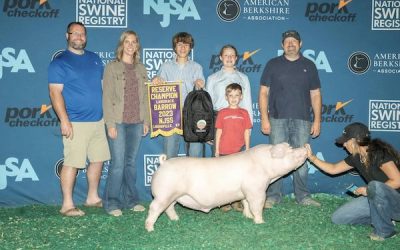 Reserve Champion Landrace Barrow – 2023 NJSS