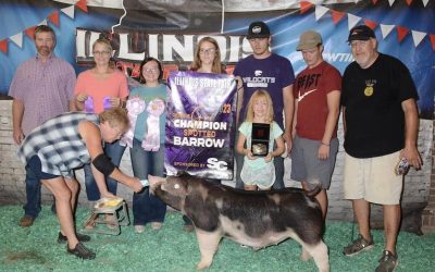 5th Overall Barrow/ Champion Spot (Open) & Reserve Champion Spot Barrow (Junior)  – 2023 Illinois State Fair Jr Show