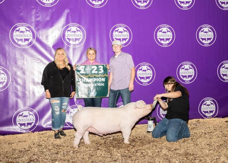 Champion Landrace Market Hog – 2023 Michigan Livestock Expo.