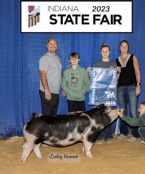 4th Overall Division 2 Spot Gilt – 2023 Indiana State Fair Jr Show