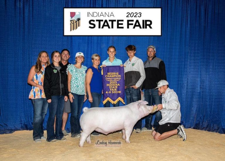 Reserve Champion Landrace Barrow – 2023 Indiana State Fair Jr Show