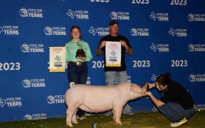 Champion Landrace Gilt – 2023 State Fair of Texas