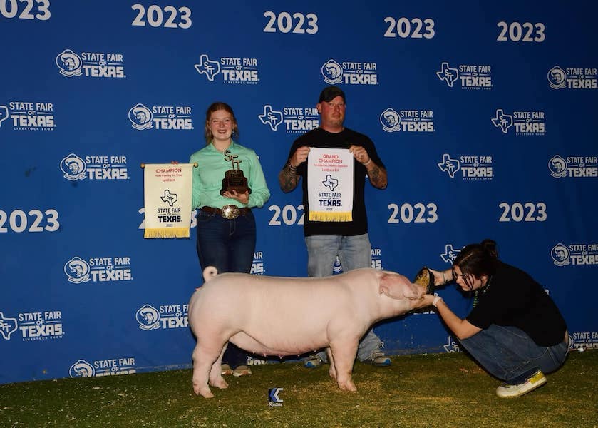 Champion Landrace Gilt – 2023 State Fair of Texas