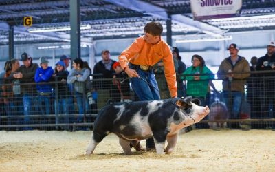 5th Overall Spot Market Hog – 2023 Arkansas State Fair