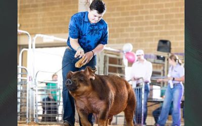Reserve Champion Duroc Barrow – 2023 Team Purebred Music City Drive