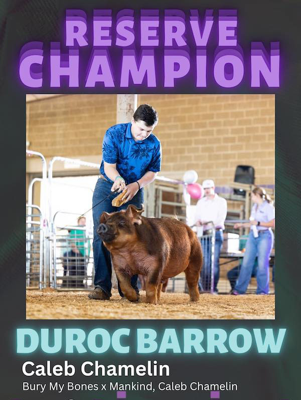 Reserve Champion Duroc Barrow – 2023 Team Purebred Music City Drive