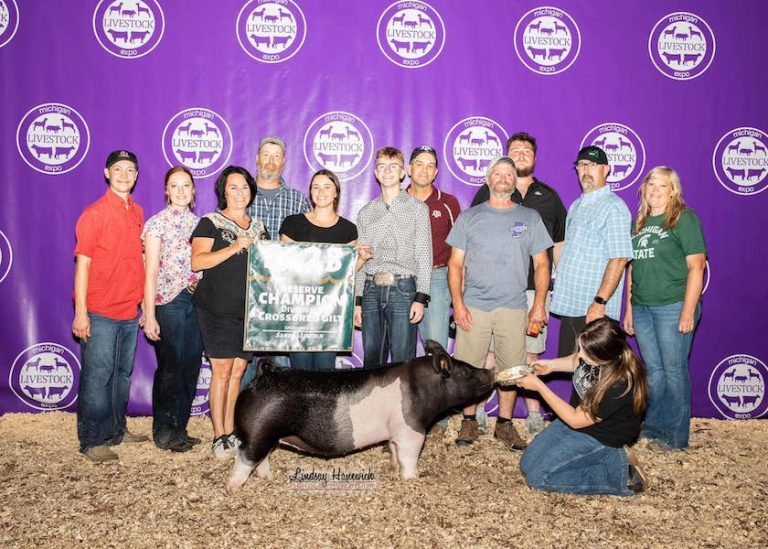 3rd Overall Crossbred Gilt – 2023 Michigan Livestock Expo