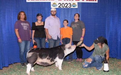 Champion Spot Barrow – 2023 Kansas State Fair
