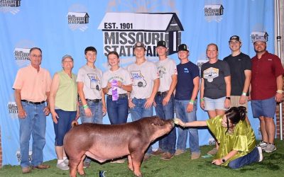 Champion Duroc Barrow – 2023 Missouri State Fair FFA Show