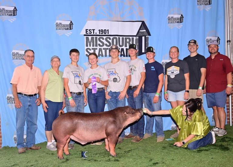 Champion Duroc Barrow – 2023 Missouri State Fair FFA Show