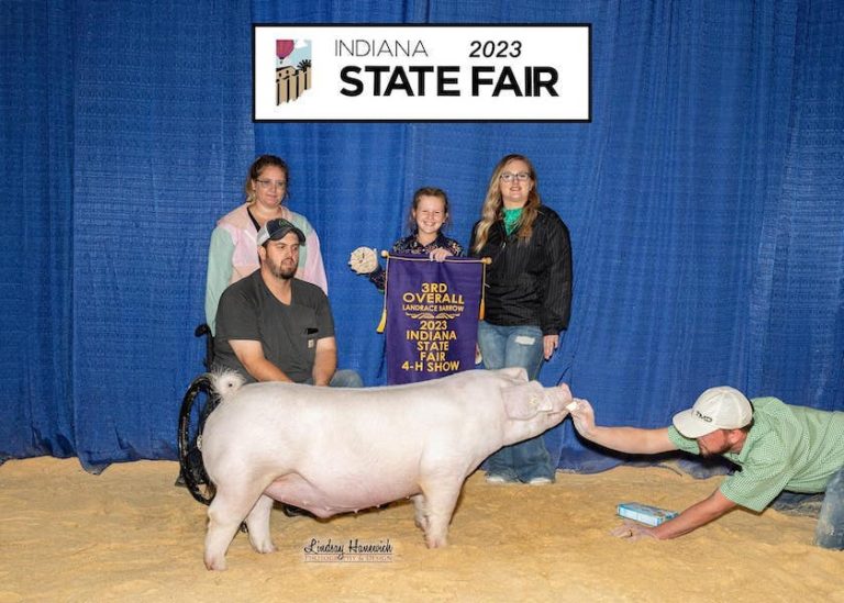 3rd Overall Landrace Barrow – 2023 Indiana State Fair Jr Show