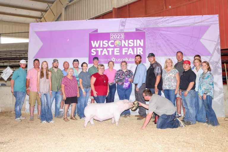 Champion AOB Barrow – 2023 Wisconsin State Fair Jr Show