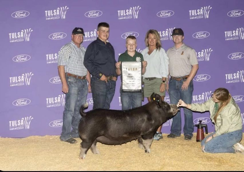 Bronze Berkshire Gilt  – 2023 Tulsa State Fair