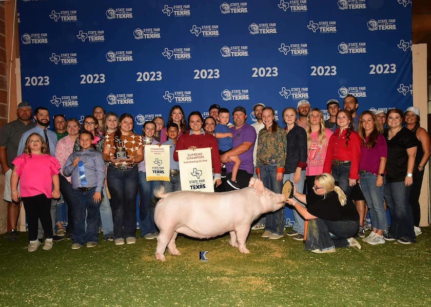 Supreme Champion Gilt & Champion Yorkshire   – 2023 State Fair of Texas