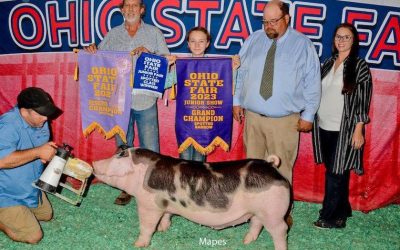 Champion Spot Barrow – 2023 Ohio State Fair Jr Show