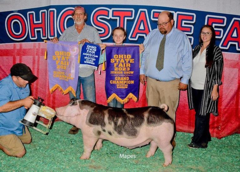 Champion Spot Barrow – 2023 Ohio State Fair Jr Show
