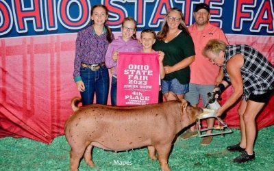 4th Overall Tamworth Gilt – 2023 Ohio State Fair Jr Show