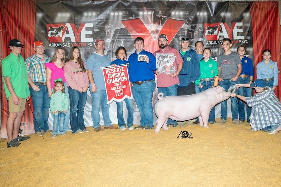 Reserve Champion Chester Gilt – 2023 Arkansas Youth Expo