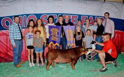 Reserve Overall Gilt & Champion Duroc – 2023 Ohio State Fair Jr Show