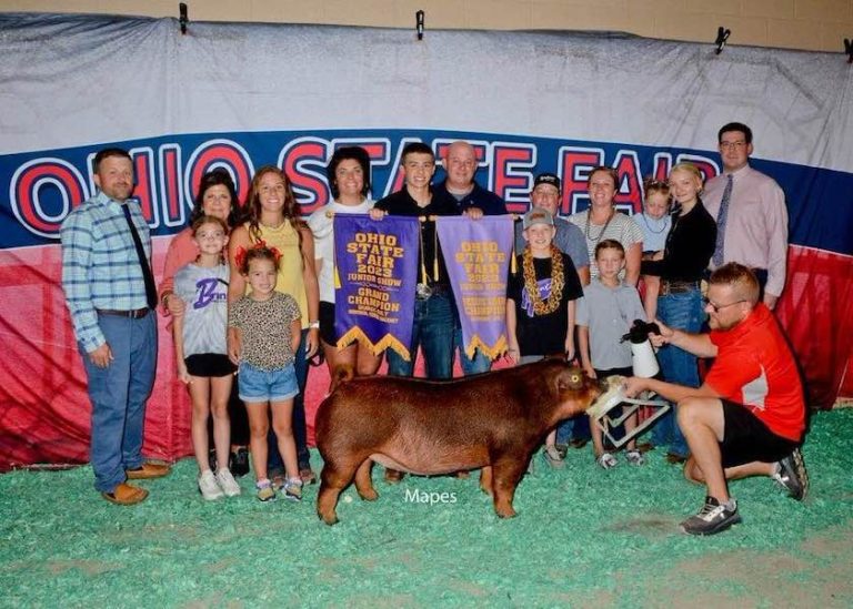 Reserve Overall Gilt & Champion Duroc – 2023 Ohio State Fair Jr Show