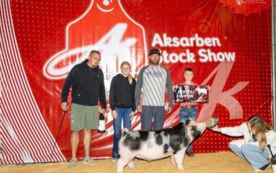 3rd Overall Purebred Market Hog & Reserve Champion Spot – 2023 Aksarben