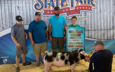 5th Overall Purebred & Champion Spot – 2023 South Dakota State Fair