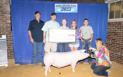 Champion Landrace Barrow – 2023 Iowa State Fair 4-H Show