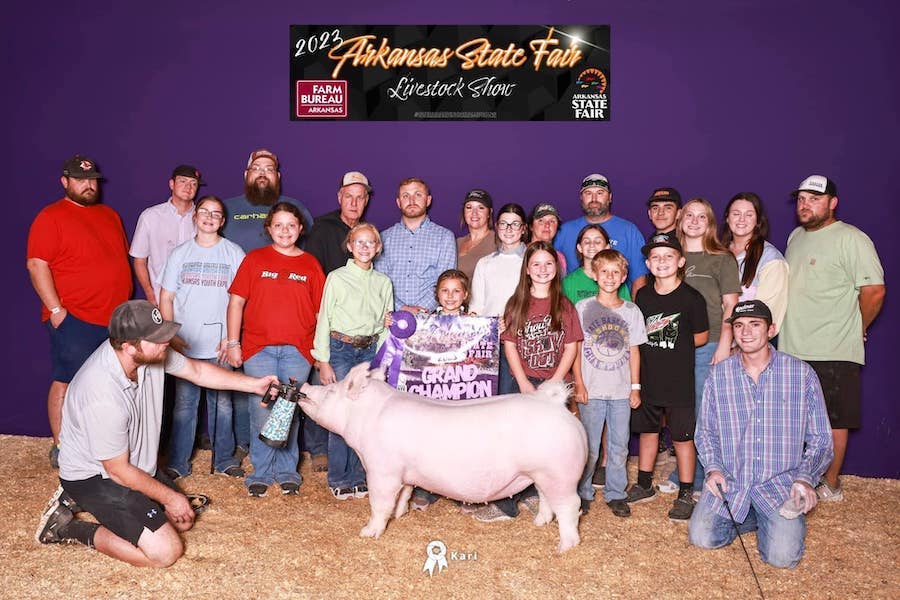 5th Overall Gilt & Champion Yorkshire   – 2023 Arkansas State Fair