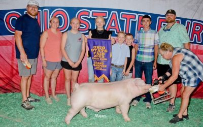 Champion Landrace Barrow  – 2023 Ohio State Fair Jr Show