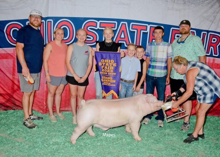 Champion Landrace Barrow – 2023 Ohio State Fair Jr Show