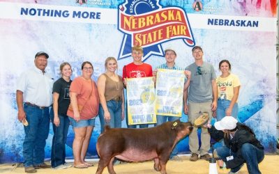 Champion Purebred Market Gilt & Champion Duroc – 2023 Nebraska State Fair FFA Show
