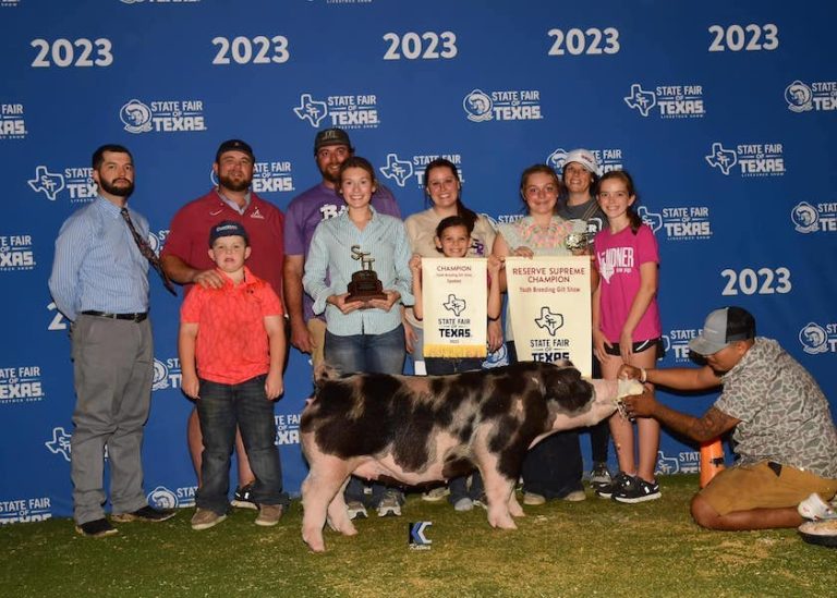 Reserve Supreme Overall Gilt & Champion Spot – 2023 State Fair of Texas