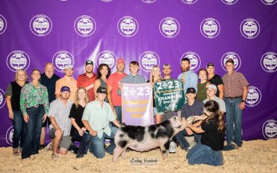 6th Overall Market Hog & Champion Spot – 2023 Michigan Livestock Expo
