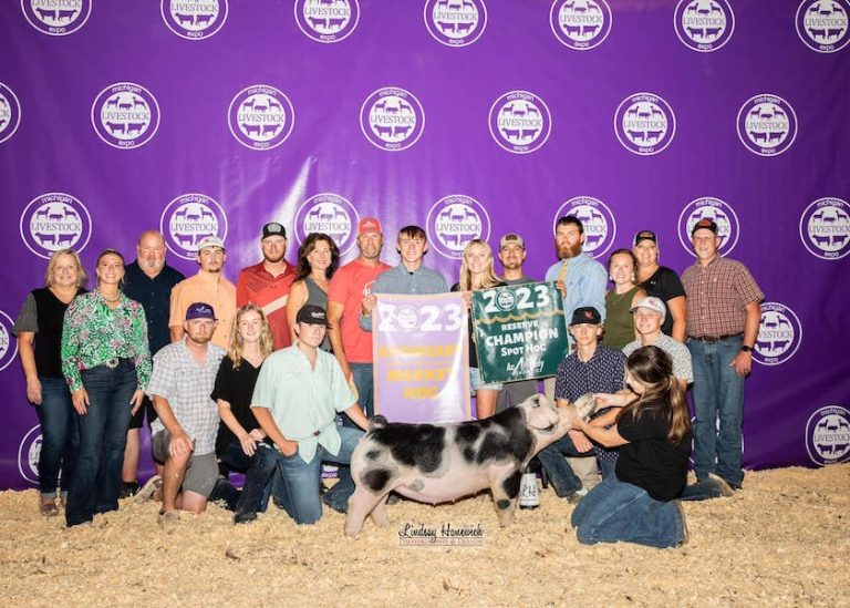 6th Overall Market Hog & Champion Spot – 2023 Michigan Livestock Expo