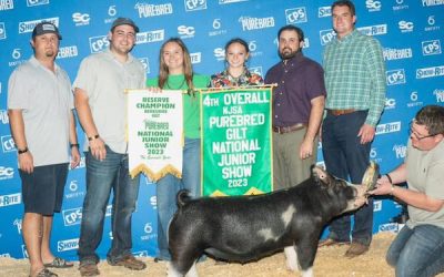 4th Overall NSR Gilt & Reserve Champion Berkshire – 2023 Team Purebred National Jr Show
