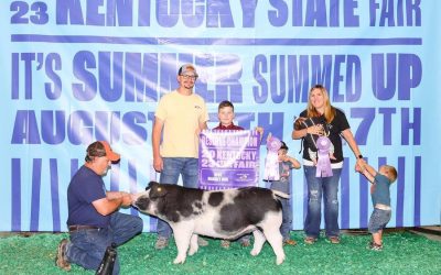 Reserve Champion Spot Barrow- 2023 Kentucky State Fair
