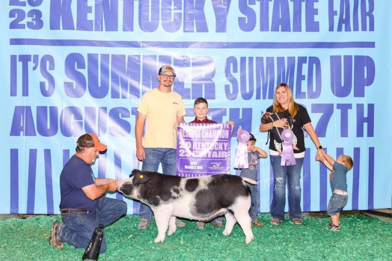 Reserve Champion Spot Barrow- 2023 Kentucky State Fair