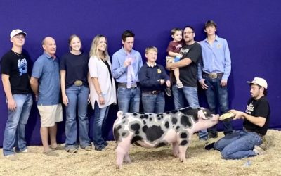 Reserve Champion Spot Gilt – 2023 Oklahoma State Fair
