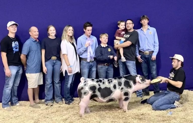 Reserve Champion Spot Gilt – 2023 Oklahoma State Fair