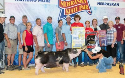 Champion Spot GIlt – 2023 Nebraska State Fair FFA Show
