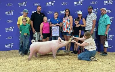 Reserve Champion Yorkshire Barrow – 2023 Tulsa State Fair
