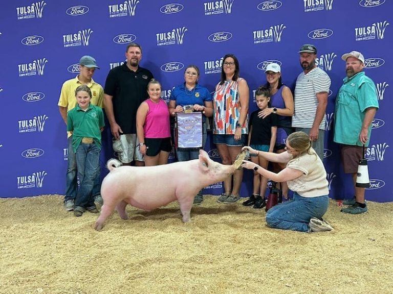 Reserve Champion Yorkshire Barrow – 2023 Tulsa State Fair