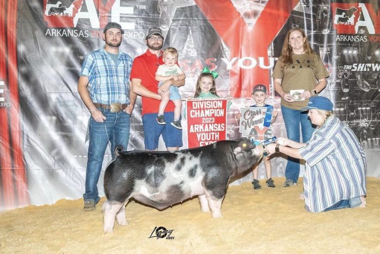 Champion Spot Barrow – 2023 Arkansas Youth Expo
