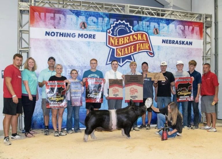 Supreme Overall Gilt & Champion Crossbred – 2023 Nebraska State Fair Open Show