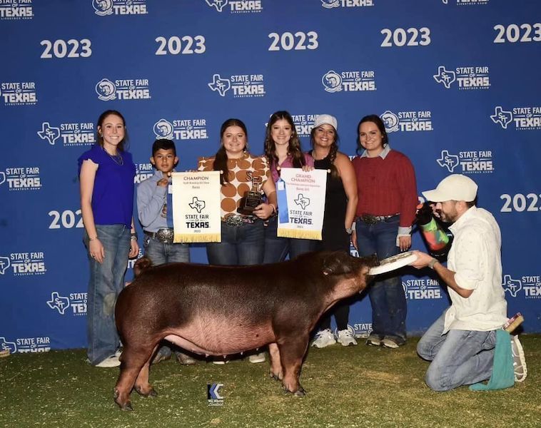Champion Duroc Gilt – 2023 State Fair of Texas